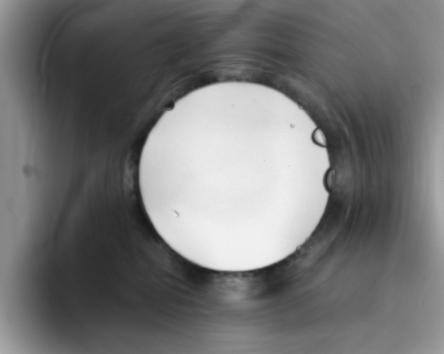 X0000091570282200709171103