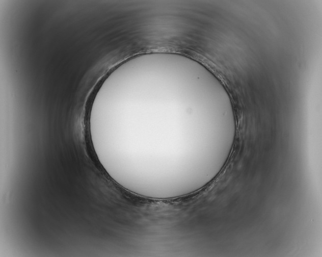 X0000091570290200709171102