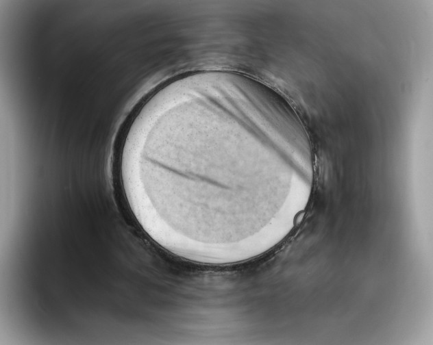 X0000091570292200709171102