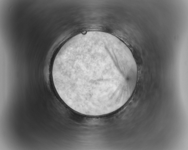 X0000091570293200709171102