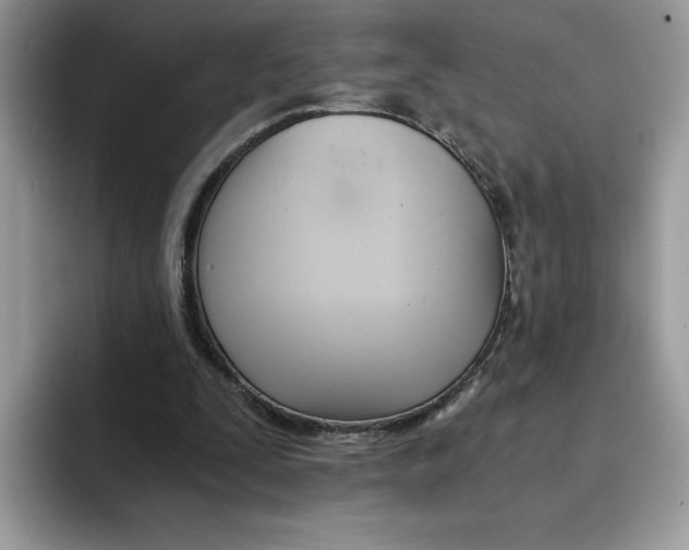 X0000091570295200709171102