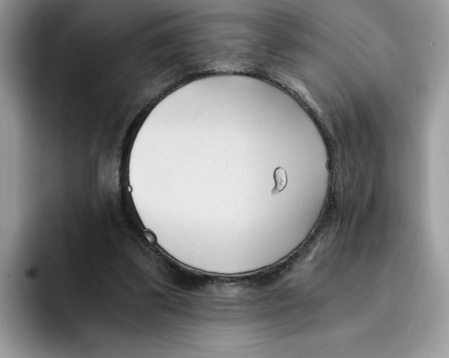 X0000091570299200709171102