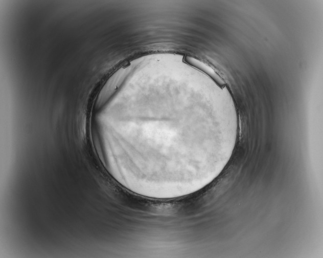 X0000091570301200709171102