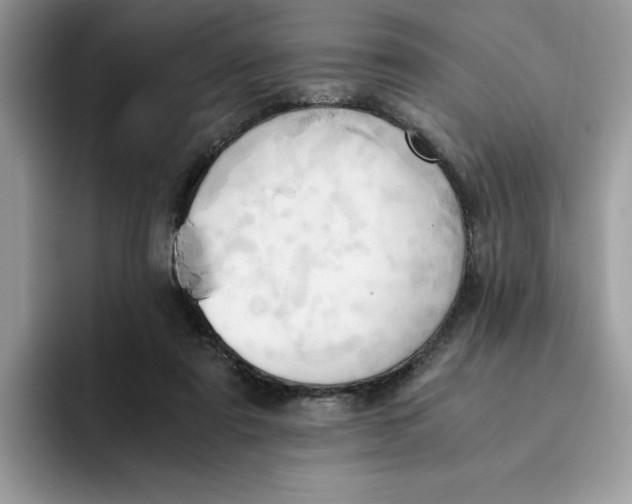 X0000091570307200709171102