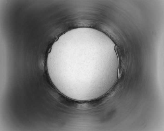 X0000091570309200709171102