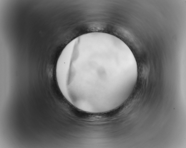 X0000091570315200709171102