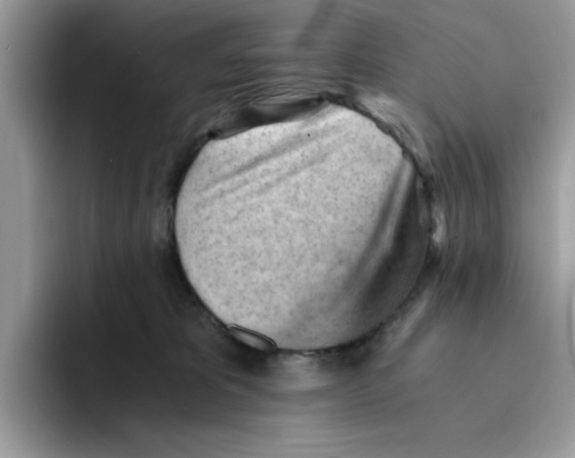 X0000091570325200709171102