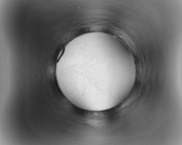 X0000091570329200709171102