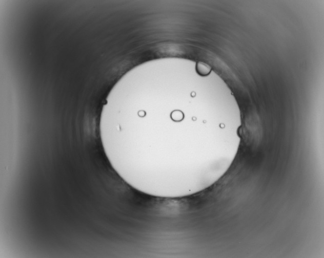 X0000091570330200709171102