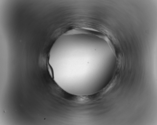 X0000091570333200709171102