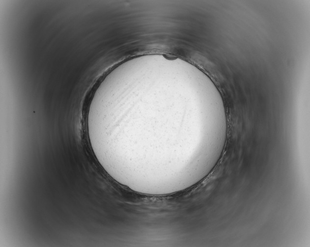 X0000091570338200709171101