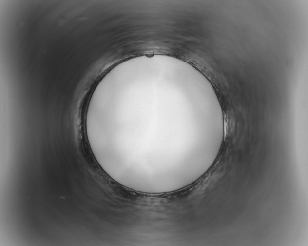 X0000091570339200709171101