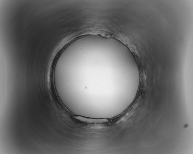 X0000091570340200709171101