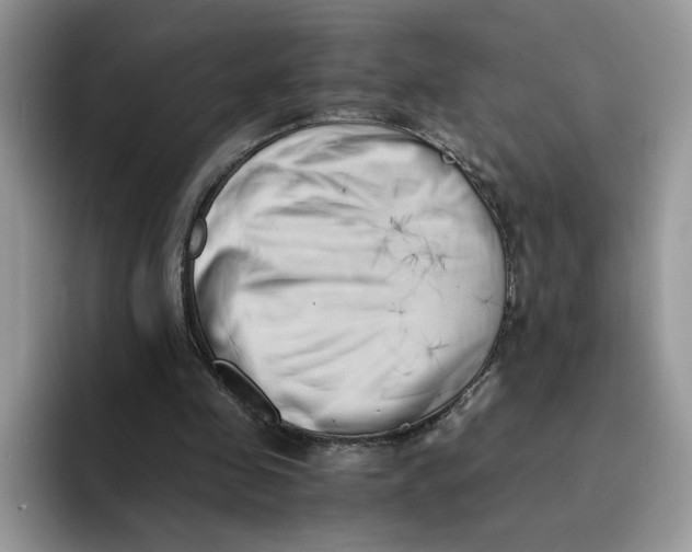 X0000091570341200709171101