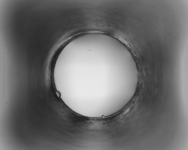 X0000091570343200709171101