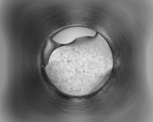 X0000091570346200709171101