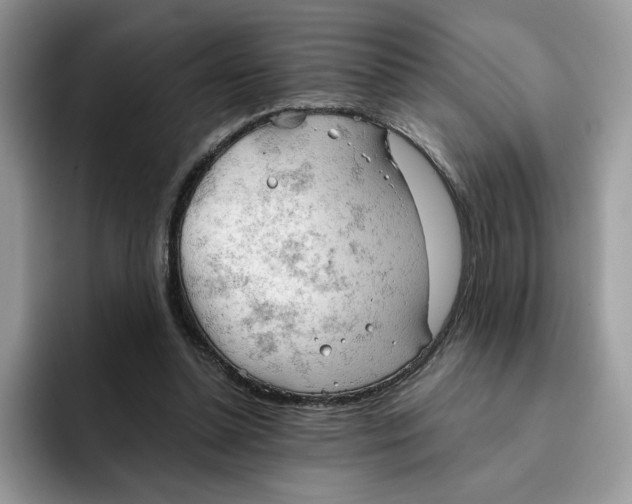 X0000091570348200709171101