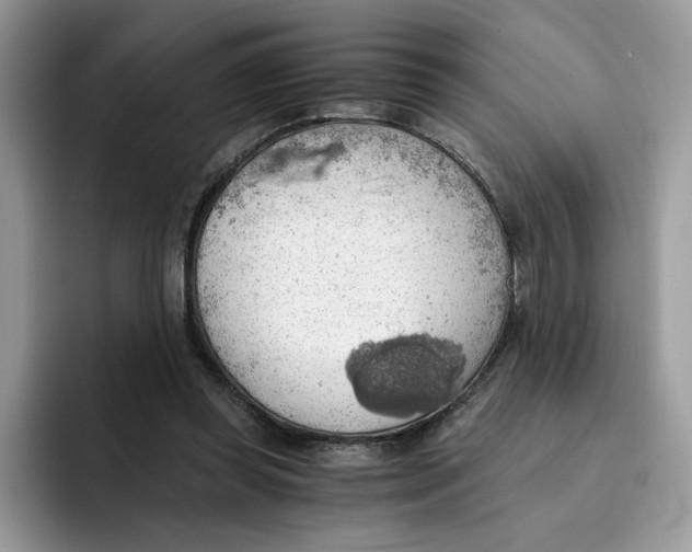 X0000091570349200709171101