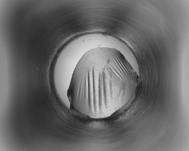 X0000091570350200709171101