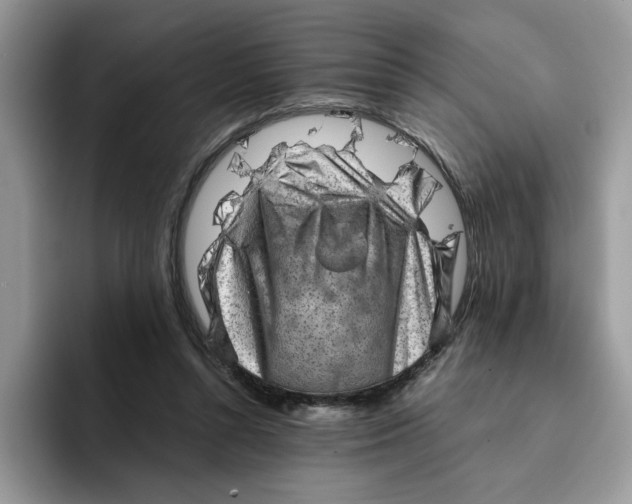 X0000091570352200709171101