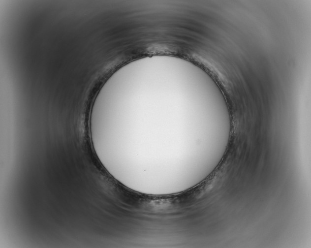 X0000091570353200709171101