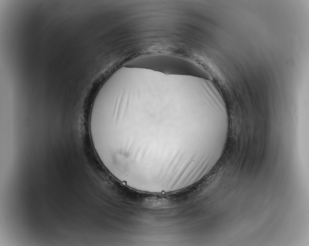 X0000091570354200709171101