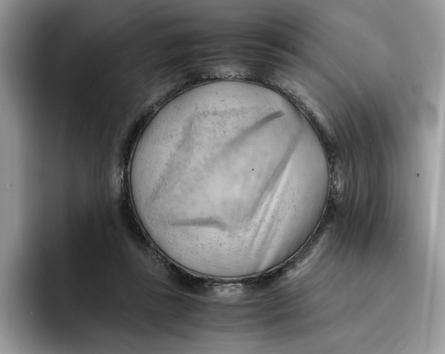 X0000091570355200709171102