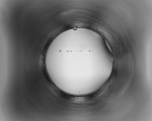 X0000091570361200709171102