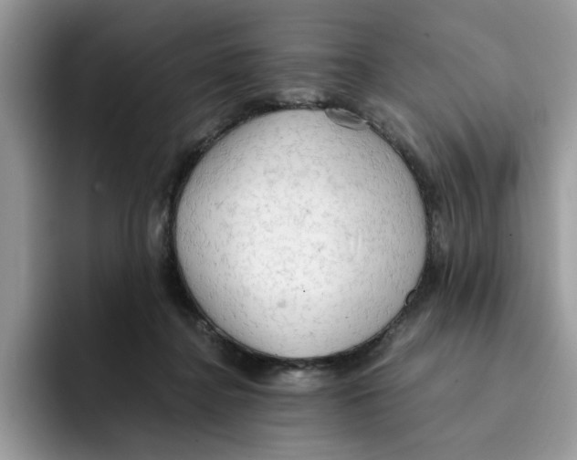 X0000091570364200709171102