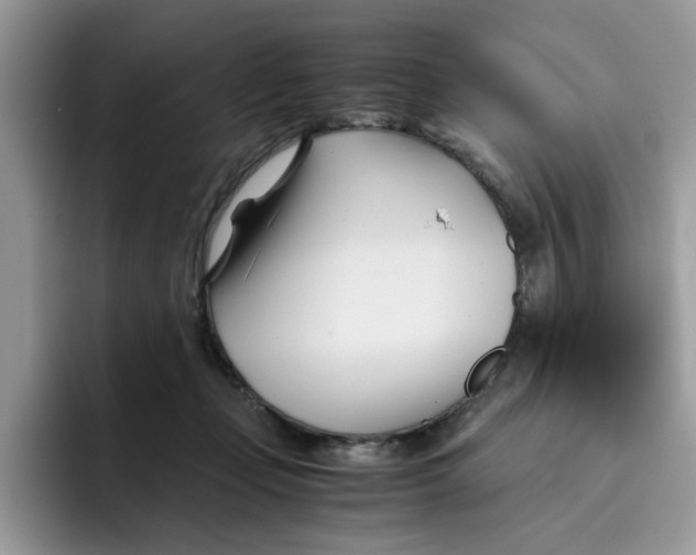 X0000091570365200709171102