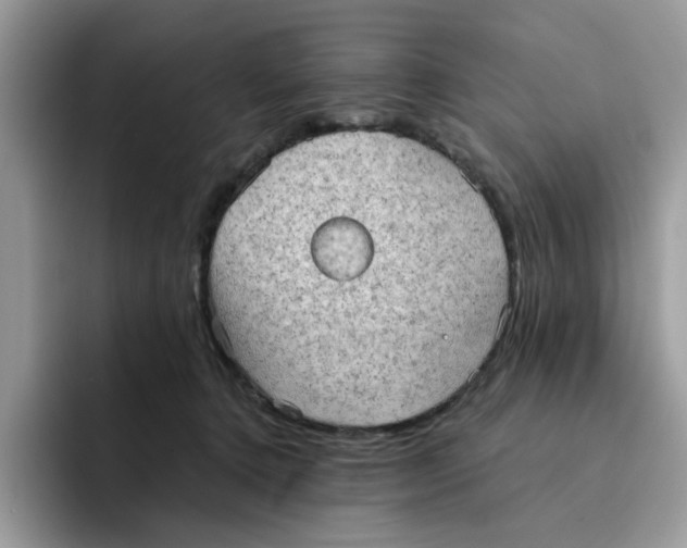 X0000091570368200709171102