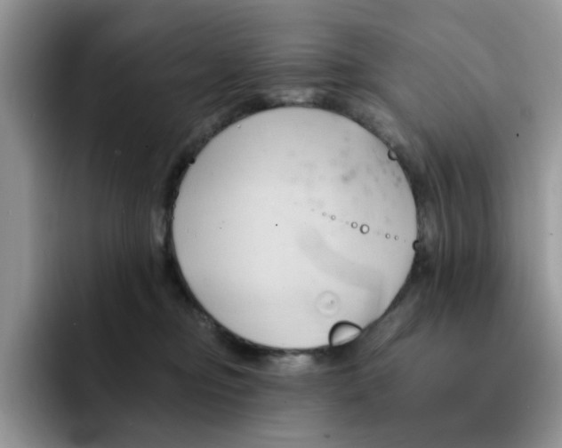 X0000091570374200709171102