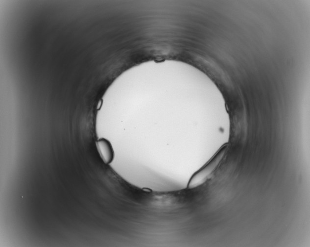 X0000091570376200709171102