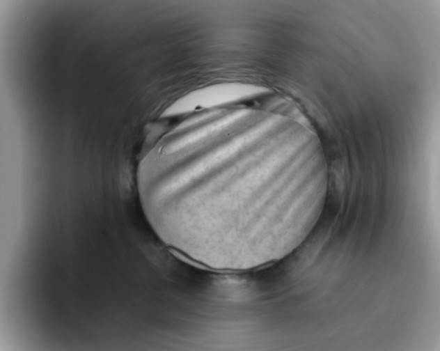 X0000091570380200709171102