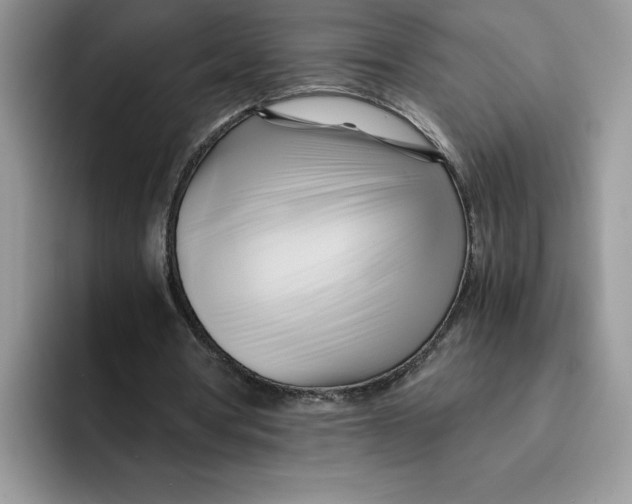 X0000091570386200709171101