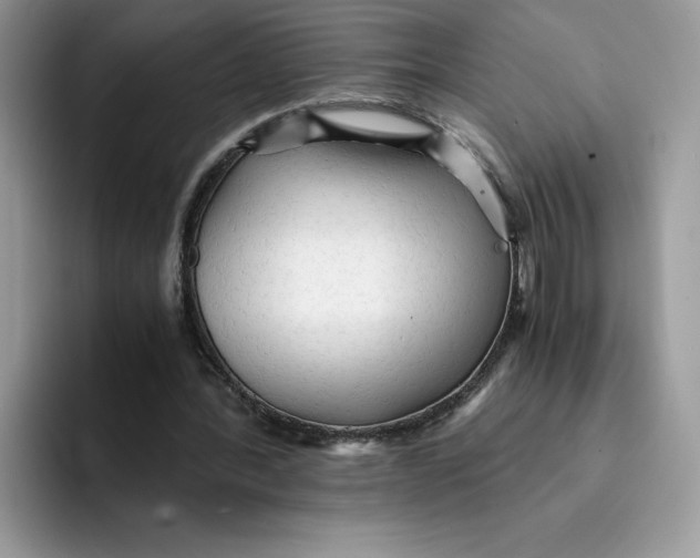 X0000091570388200709171101