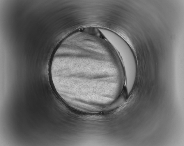 X0000091570389200709171101