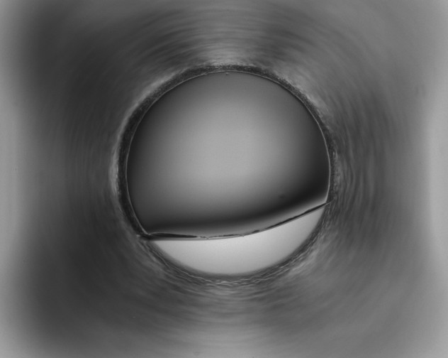 X0000091570391200709171101