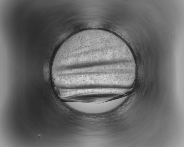 X0000091570393200709171101