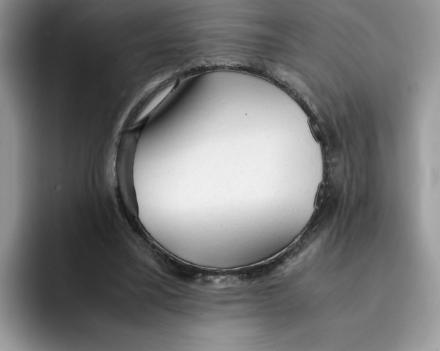 X0000091570395200709171101