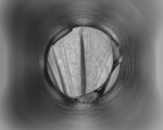 X0000091570399200709171101