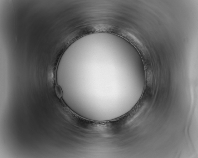 X0000091570405200709171101