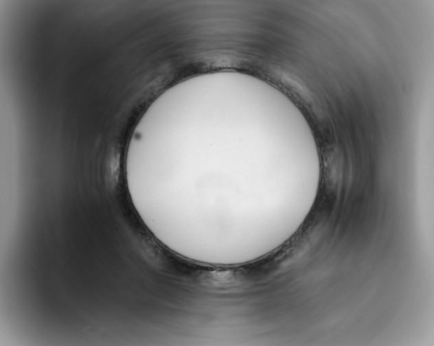 X0000091570406200709171101