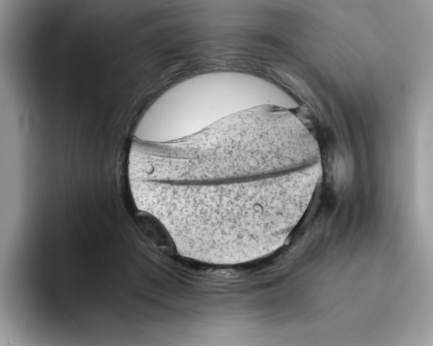 X0000091570409200709171101