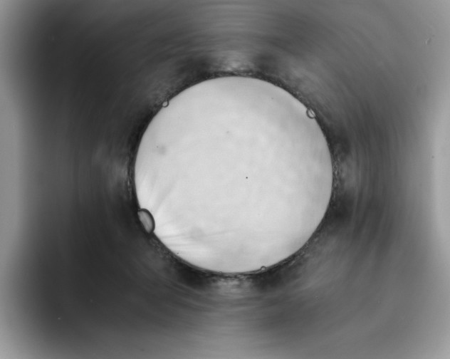 X0000091570415200709171101