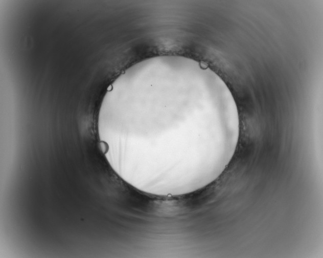 X0000091570419200709171101