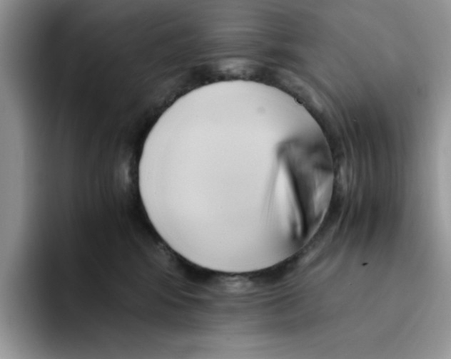 X0000091570424200709171101