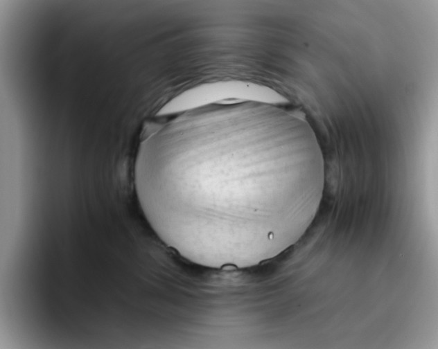 X0000091570428200709171101