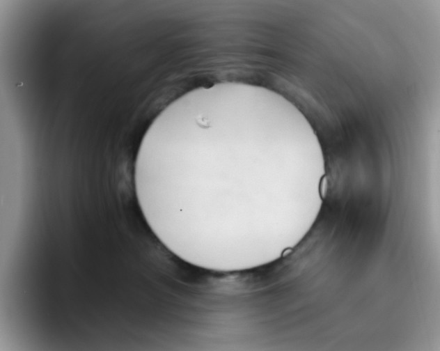 X0000091570430200709171101