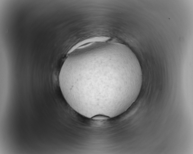 X0000091570432200709171101